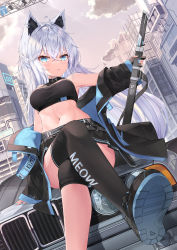 Rule 34 | 1girl, absurdres, ahoge, animal ears, armpits, bare shoulders, belt, black footwear, black jacket, black shirt, black skirt, black thighhighs, blue eyes, bmw, breasts, car, cat ears, commentary request, crop top, crossed legs, fox ears, highres, holding, holding sword, holding weapon, jacket, knee pads, long hair, long sleeves, looking at viewer, medium breasts, midriff, miniskirt, motor vehicle, nail polish, navel, off shoulder, open clothes, open jacket, original, parted lips, pleated skirt, revision, shirt, shoes, single thighhigh, sitting, skirt, sleeveless, sleeveless shirt, solo, stomach, sword, taut clothes, taut shirt, thighhighs, very long hair, weapon, white hair, yeosi