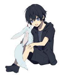 Rule 34 | 10s, 1boy, aged down, bad id, bad pixiv id, black hair, blue eyes, carbuncle (final fantasy), child, final fantasy, final fantasy xv, male focus, nakagawa waka, noctis lucis caelum, shorts, solo