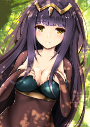 Rule 34 | 1girl, absurdres, black hair, blush, breasts, brown eyes, circlet, cleavage, covered navel, dutch angle, fire emblem, fire emblem awakening, fire emblem heroes, hands on own chest, highres, large breasts, long hair, looking at viewer, nintendo, purple hair, see-through, sidelocks, skin tight, smile, solo, sparkle, tayashitsu, tharja (fire emblem), tree, tree shade, upper body, yellow eyes