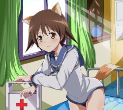 Rule 34 | 1girl, animal ears, bad id, bad pixiv id, blush, brown eyes, brown hair, calendar (object), cross, curtains, first aid kit, flower, indoors, leaning forward, looking at viewer, miyafuji yoshika, red cross, sailor collar, short hair, solo, stethoscope, strike witches, suisen toire (moko924), sunlight, swimsuit, swimsuit under clothes, tail, uniform, vase, window, world witches series