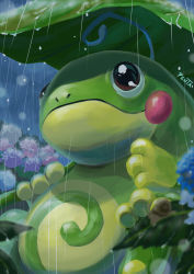 Rule 34 | blurry, brown eyes, closed mouth, commentary request, creatures (company), flower, game freak, gen 2 pokemon, highres, hydrangea, leaf, nintendo, no humans, outdoors, penta oekaki, pokemon, pokemon (creature), politoed, rain, smile, solo, water drop
