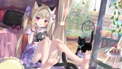 Rule 34 | 1girl, :d, animal, animal ear fluff, animal ears, barefoot, bed, black bow, black bowtie, black cat, blush, bow, bowtie, brown eyes, brown hair, bug, butterfly, cat, cat ears, cat girl, cat tail, commentary request, commission, controller, dress, flower, frilled dress, frilled pillow, frills, game controller, glass door, hair bow, hair intakes, hair ornament, heart, heart hair ornament, heterochromia, high heels, highres, indie virtual youtuber, indoors, insect, long hair, looking at viewer, hugging object, open mouth, pillow, plant, potted plant, puffy short sleeves, puffy sleeves, purple bow, purple dress, purple eyes, purple flower, purple footwear, see-through, see-through sleeves, shoes, unworn shoes, short sleeves, siera (sieracitrus), signature, skeb commission, smile, soles, solo, stuffed animal, stuffed rabbit, stuffed toy, tail, twintails, very long hair, vinetta esco, virtual youtuber, white flower