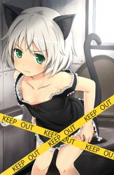 Rule 34 | 1girl, animal ears, annoyed, bad id, bad pixiv id, bare shoulders, cat ears, cat tail, caution tape, collarbone, flat chest, green eyes, keep out, nemo (piisukun), panties, panty pull, caution tape, sanya v. litvyak, short hair, solo, strike witches, tail, toilet, toilet paper, underwear, wavy mouth, white hair, window, world witches series
