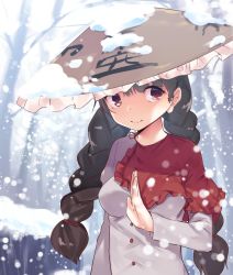 Rule 34 | 1girl, asuzemu, bad id, bad twitter id, braid, breasts, capelet, coat, commentary request, frills, hat, long sleeves, looking at viewer, medium breasts, red eyes, smile, snow, snowing, solo, touhou, twin braids, yatadera narumi
