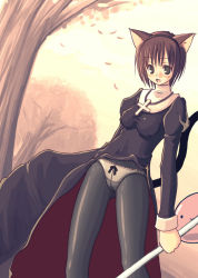 Rule 34 | 1girl, animal ears, black pantyhose, cat ears, crotch seam, highres, kimarin, lace, lace-trimmed panties, lace trim, panties, panties under pantyhose, pantyhose, poring, priest, priest (ragnarok online), priestess, ragnarok online, solo, standing, underwear