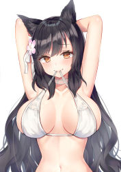 Rule 34 | 1girl, alternate costume, animal ears, armpits, arms behind head, atago (azur lane), atago (summer march) (azur lane), azur lane, bad id, bad pixiv id, bikini, bikini in mouth, black hair, blush, bra in mouth, breasts, brown eyes, cleavage, clothes in mouth, commentary, extra ears, flower, hair flower, hair ornament, highres, hinaki (hinaki 0102), large breasts, long hair, looking at viewer, mole, mole under eye, mouth hold, navel, ribbon, simple background, smile, solo, swimsuit, upper body, white background, white bikini