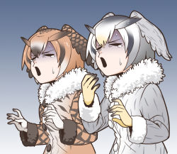 Rule 34 | 10s, 2girls, brown hair, disgust, eurasian eagle owl (kemono friends), fluffy collar, gradient background, grey hair, head wings, highres, hollow eyes, kemono friends, multicolored hair, multiple girls, northern white-faced owl (kemono friends), open mouth, suzushiro (suzushiro333), sweatdrop, white hair, wings