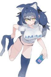 Rule 34 | 1girl, animal ear fluff, animal ears, blue hair, dire wolf (kemono friends), drink, highres, kemono friends, kemono friends v project, kneehighs, kunikuni (kunihiro2005), long hair, looking at viewer, ribbon, shirt, shorts, simple background, socks, solo, thighs, twintails, virtual youtuber, white background, wolf ears, wolf girl, yellow eyes