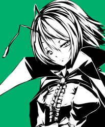 Rule 34 | 1girl, antennae, beshi, bow, cape, dress shirt, female focus, hair bow, long sleeves, looking at viewer, monochrome, shirt, short hair, simple background, solo, touhou, wriggle nightbug