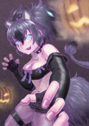 Rule 34 | animal ears, bad id, bad pixiv id, cerberus (kemono friends), collar, commentary request, dog ears, dog tail, fangs, fingerless gloves, gloves, highres, jack-o&#039;-lantern, kemono friends, kishida shiki, long hair, short shorts, shorts, spiked collar, spikes, strapless, tail, tube top