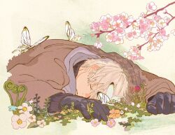 Rule 34 | 1boy, black gloves, black shirt, brown jacket, bug, butterfly, cherry blossoms, closed mouth, commentary, cropped torso, flower, ginko (mushishi), gloves, highres, insect, jacket, long sleeves, lying, male focus, mushishi, on stomach, outdoors, parted lips, plant, rokudenaru, shirt, short hair, solo, sweater, symbol-only commentary, turtleneck, turtleneck sweater, white hair, yellow background