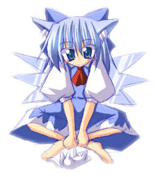 Rule 34 | 1girl, animal ears, barefoot, bow, cat, cat ears, cirno, female focus, ichidai taisa, indian style, lowres, sitting, solo, touhou
