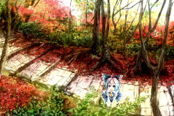 Rule 34 | autumn, blue eyes, blue hair, bow, cirno, cosplay, forest, from above, hair bow, hakurei reimu, hakurei reimu (cosplay), looking up, nature, same 2009, short hair, solo, touhou