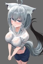 Rule 34 | 1girl, ahoge, animal ear fluff, animal ears, blush, braid, breasts, breasts squeezed together, foreshortening, fox ears, fox girl, fox tail, green eyes, grey background, hair between eyes, highres, hololive, longsan, looking at viewer, medium breasts, midriff, navel, own hands together, shirakami fubuki, shirt, shorts, side braid, simple background, single braid, sweat, sweaty clothes, tail, very sweaty, virtual youtuber, wet, wet clothes, wet hair, wet shirt, white hair