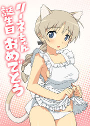 Rule 34 | 1girl, animal ears, apron, apron lift, bad id, bad pixiv id, blue eyes, braid, cat ears, cat girl, cat tail, clothes lift, happy birthday, long hair, lynette bishop, naked apron, panties, silver hair, single braid, solo, strike witches, tail, tonbi, underwear, world witches series