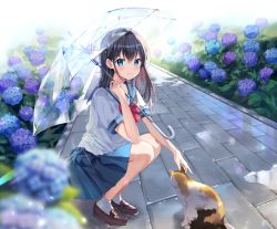 Rule 34 | 1girl, black hair, blue eyes, blue sailor collar, blue skirt, brown footwear, cat, closed mouth, commentary, flower, hair between eyes, hydrangea, long hair, looking at viewer, mayo (miyusa), original, pleated skirt, puddle, rain, red eyes, sailor collar, school uniform, serafuku, shirt, skirt, smile, socks, solo, squatting, symbol-only commentary, transparent, transparent umbrella, umbrella, white shirt, white socks