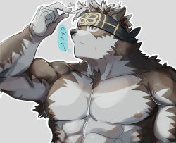 Rule 34 | 1boy, abs, ainu, animal ears, bara, chest hair, completely nude, facial scar, furry, furry male, grabbing, grey fur, grey hair, headband, highres, horkeu kamui, large pectorals, male focus, muscular, muscular male, neumo, nipples, nude, pectorals, pelvic curtain, scar, scar on cheek, scar on face, short hair, solo, stomach, tail, tokyo houkago summoners, translation request, upper body, white fur, wolf boy, wolf ears, wolf tail, yellow eyes