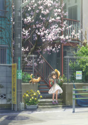 Rule 34 | 1girl, apartment, backpack, bag, bottle, brown eyes, brown hair, building, cat, cherry blossoms, child, closed mouth, commentary, dress, falling petals, fence, flower pot, green jacket, hat, highres, hirose yuki, holding, holding clothes, holding hat, jacket, long hair, manhole, manhole cover, original, outdoors, petals, pink footwear, plant, randoseru, rapeseed blossoms, red bag, road, road sign, scenery, school hat, shoes, sign, sneakers, socks, stairs, tree, utility pole, vines, white dress, white socks, wire fence, yellow headwear