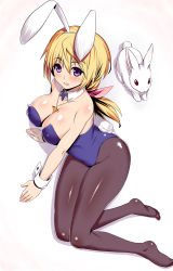 Rule 34 | 10s, 1girl, animal ears, bare shoulders, black pantyhose, blonde hair, blush, breasts, charlotte dunois, cleavage, detached collar, fake animal ears, feet, hair ribbon, highres, infinite stratos, kawase seiki, large breasts, leotard, open mouth, pantyhose, playboy bunny, ponytail, purple eyes, rabbit, rabbit ears, rabbit tail, ribbon, short hair, simple background, smile, solo, tail, white background, wrist cuffs