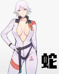 breasts christie_(doa) dead_or_alive konishiki_(52siki) large_breasts unzipped white_hair