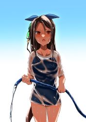 Rule 34 | 1girl, absurdres, animal ears, blush, breasts, brown hair, cowboy shot, ear covers, ears down, gradient background, highres, holding, holding hose, horse ears, horse girl, horse tail, hose, kakuteru sudachi, king halo (umamusume), long hair, looking at viewer, medium breasts, open mouth, red eyes, school swimsuit, see-through, see-through shirt, solo, standing, swimsuit, tail, umamusume, water, wet, wet clothes