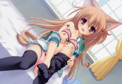 Rule 34 | 1girl, absurdres, animal ears, bare shoulders, bed, black thighhighs, bow, bow bra, bow panties, bra, bra lift, breasts, brown hair, cameltoe, cat ears, cat tail, collarbone, curly hair, dressing, dutch angle, feet, hair ornament, hairclip, highres, lingerie, long hair, looking at viewer, mikagami mamizu, neko koi!, nipples, no shoes, off shoulder, on bed, open clothes, open mouth, open shirt, panties, pink bra, pink panties, purple eyes, ryuudou misaki, scan, shirt, sitting, soles, solo, strap slip, tail, tareme, thighhighs, toe scrunch, toes, underwear, undressing