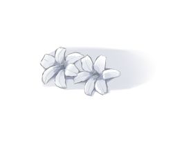 Rule 34 | akinakesu-chan, assault lily, flower, greyscale, highres, lily (flower), monochrome, no humans, simple background, still life, white background