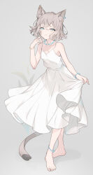 Rule 34 | 1girl, animal ear fluff, animal ears, anklet, bare shoulders, barefoot, blue eyes, bracelet, breasts, cat ears, cat girl, cat tail, commentary request, dress, earrings, full body, grey background, grey hair, highres, jewelry, kinutani yutaka, looking at viewer, necklace, original, parted lips, short hair, skirt hold, small breasts, solo, sundress, tail, toes, wavy hair, white dress