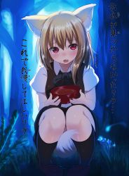 Rule 34 | 1girl, absurdres, animal ears, asymmetrical hair, backlighting, black bow, black bowtie, black footwear, black socks, blonde hair, blush, bow, bowl, bowtie, collarbone, commentary request, cookie (touhou), fang, fox ears, fox tail, full body, grass, hair between eyes, highres, holding, holding bowl, kneehighs, loafers, looking at viewer, miramikaru riran, nose blush, onakon 3-nichi-me, open mouth, original, outdoors, pee, red eyes, shirt, shoes, short sleeves, sidelocks, sleeveless, socks, solo, squatting, tail, tail censor, touhou, translation request, trembling, white shirt