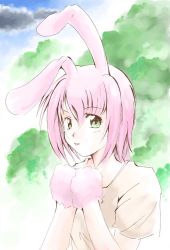 Rule 34 | 1girl, animal ears, rabbit ears, charat sieles, eternal melody, green eyes, jason (kaiten kussaku kikou), pink hair, short hair, smile, solo