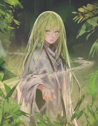 Rule 34 | 1other, abstract background, androgynous, closed mouth, commentary request, enkidu (fate), fate/grand order, fate/strange fake, fate (series), green eyes, green hair, hair between eyes, highres, long hair, looking at viewer, male focus, outdoors, plant, robe, rsef, sidelocks, solo, standing, trap, very long hair, white robe, wide sleeves
