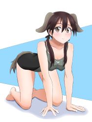 Rule 34 | 1girl, absurdres, animal ears, bad id, bad pixiv id, black one-piece swimsuit, blue background, blush, breasts, brown eyes, brown hair, cleavage, clothing cutout, collarbone, dog ears, dog tail, female focus, frown, gertrud barkhorn, grey one-piece swimsuit, hair between eyes, hair ornament, hair ribbon, highres, legs apart, looking at viewer, medium breasts, one-piece swimsuit, ribbon, solo, strike witches, swimsuit, tail, tail through clothes, tarou piro, twintails, white background, world witches series
