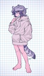 Rule 34 | 1girl, animal ear fluff, animal ears, bad id, bad twitter id, barefoot, black hair, closed mouth, commentary request, common raccoon (kemono friends), drawstring, full body, grey hair, grey hoodie, hair between eyes, hand in pocket, hand up, highres, hood, hood down, hoodie, inactive account, jmeysan, kemono friends, long sleeves, looking at viewer, mask, mouth mask, multicolored hair, no pants, raccoon ears, raccoon tail, red eyes, short hair, solo, standing, surgical mask, tail