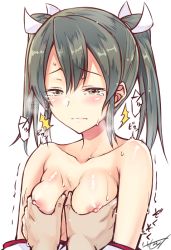 Rule 34 | 10s, 1girl, bare shoulders, blush, breasts, breath, grabbing, grabbing another&#039;s breast, green eyes, grey hair, hair ribbon, kantai collection, long hair, nipples, ribbon, saemon (tonpura), simple background, small breasts, solo focus, tears, topless frame, twintails, upper body, white background, zuikaku (kancolle)