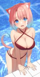 Rule 34 | 1girl, absurdres, animal ears, bare arms, bare shoulders, bikini, blue eyes, blush, bob cut, breasts, cat ears, cat girl, cat tail, cleavage, collarbone, commentary request, criss-cross halter, day, fingernails, glint, go-1, gradient hair, gradient tail, halterneck, highres, large breasts, leaning forward, lips, looking at viewer, lower teeth only, multicolored hair, nail polish, open mouth, original, pink hair, pink nails, pool, poolside, red bikini, smile, solo, swimsuit, tail, teeth, thighs, tile floor, tiles, two-tone hair