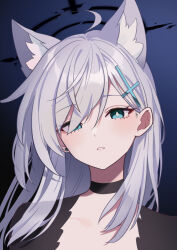 Rule 34 | 1girl, absurdres, ahoge, animal ears, black choker, black shirt, blue archive, blue eyes, broken halo, choker, commentary request, dark persona, diamond-shaped pupils, diamond (shape), earrings, extra ears, fox ears, goyain, hair ornament, hair over one eye, halo, highres, jewelry, long hair, looking at viewer, mismatched pupils, parted lips, shiroko (blue archive), shiroko terror (blue archive), shirt, solo, stud earrings, symbol-shaped pupils, upper body, white hair, wolf ears
