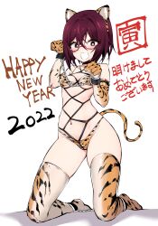 Rule 34 | 1girl, 2022, :d, absurdres, akeome, animal ears, animal hands, animal print, bdsm, bikini, black eyes, bob cut, bondage, bound, breasts, bright pupils, brown hair, chinese zodiac, commentary, cuffs, elbow gloves, english text, fake animal ears, fake tail, gloves, happy new year, highres, kinbakuman, kneeling, m-chan (kinbakuman), navel, new year, open mouth, orange bikini, orange thighhighs, original, paw gloves, paw pose, print bikini, print gloves, print thighhighs, shackles, short hair, simple background, small breasts, smile, solo, swimsuit, tail, thighhighs, tiger ears, tiger print, tiger tail, translated, white background, white pupils, year of the tiger