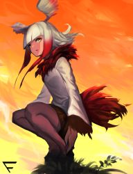 Rule 34 | 10s, 1girl, black footwear, blunt bangs, evening, fixro2n, full body, fur collar, grass, head wings, highres, japanese crested ibis (kemono friends), kemono friends, legs together, long hair, long sleeves, looking at viewer, multicolored hair, neck ruff, orange sky, pantyhose, parted lips, red hair, red pantyhose, shade, shirt, shoes, sky, solo, squatting, streaked hair, sunlight, two-tone hair, white hair, white shirt, wings, yellow eyes