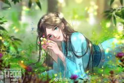 Rule 34 | 1girl, blue dress, blurry, blurry background, braid, brown hair, douluo dalu, dress, flower, grass, hair ornament, highres, long hair, looking at viewer, lying, ning rongrong (douluo dalu), on side, open mouth, r jiu yu, solo, teeth, upper body, vegetation