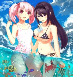 Rule 34 | 10s, 2girls, akemi homura, alternate breast size, baisi shaonian, between breasts, bikini, black bikini, black hair, black hairband, blue sky, blush, breasts, cloud, collarbone, cowboy shot, crab, day, fish, food, hair ribbon, hairband, highres, kaname madoka, large breasts, long hair, mahou shoujo madoka magica, mahou shoujo madoka magica (anime), micro bikini, multiple girls, one-piece swimsuit, open mouth, outdoors, partially submerged, partially underwater shot, pink eyes, pink hair, polka dot, polka dot bikini, polka dot swimsuit, popsicle, print swimsuit, purple eyes, ribbon, side-tie bikini bottom, sky, smile, standing, swimsuit, teeth, twintails, underboob, underwater, upper teeth only, very long hair, wading, water, white one-piece swimsuit