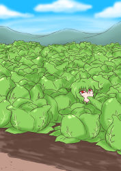 Rule 34 | 1girl, absurdres, blue sky, burijittou, cabbage, camouflage, cloud, cloudy sky, commentary request, day, eyebrows, eyelashes, field, green hair, highres, kazami yuuka, lettuce, mountain, outdoors, red eyes, short hair, sky, solo, touhou