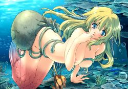 Rule 34 | 1girl, blonde hair, blue eyes, breasts, fish, galge.com, long hair, mermaid, mizunezumi, monster girl, nipples, octopus, smile, solo, topless, underwater