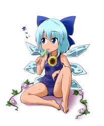 Rule 34 | 1girl, barefoot, blue bow, blue eyes, blue hair, blue one-piece swimsuit, bow, cirno, flower, food, hair bow, ice, ice wings, kousei (public planet), licking, one-piece swimsuit, popsicle, school swimsuit, short hair, simple background, sitting, solo, sunflower, swimsuit, tanned cirno, touhou, white background, wings