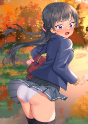 Rule 34 | 1girl, absurdres, ass, autumn, autumn leaves, bag, bag charm, black hair, black jacket, blush, brown cardigan, cardigan, charm (object), clothes lift, commentary request, day, grey skirt, hair blowing, highres, jacket, long hair, long sleeves, mukuro usss, open mouth, original, outdoors, over-kneehighs, panties, pleated skirt, purple eyes, school bag, school uniform, skirt, skirt lift, solo, standing, surprised, thighhighs, thighs, underwear, v-shaped eyebrows, wavy mouth, white panties, wind, wind lift