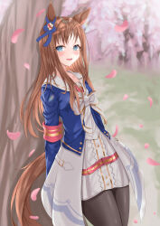 Rule 34 | 1girl, absurdres, against tree, animal ears, armband, black pantyhose, blue eyes, blue jacket, blurry, blurry background, blush, bow, brown hair, closed mouth, commentary request, cowboy shot, dress, ear ornament, falling petals, fine fabric emphasis, grass wonder (umamusume), highres, horse ears, horse girl, horse tail, jacket, legs, long hair, looking at viewer, multicolored hair, no shoes, on ground, outdoors, pantyhose, petals, simple background, smile, solo, streaked hair, tail, toes, tree, tsuyusora, umamusume, white background, white bow, white dress