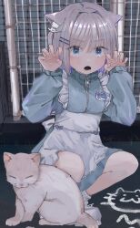 Rule 34 | 1girl, :o, animal ears, apron, blue eyes, blue jacket, blush, cat, cat ears, cat girl, chalk, claw pose, collared jacket, colored inner hair, drainpipe, frilled apron, frills, full body, grey hair, hair intakes, hair ornament, hairpin, hands up, highres, jacket, jersey maid, legs apart, long sleeves, looking at viewer, lower teeth only, maid, multicolored hair, name tag, open mouth, original, outdoors, purple hair, shoes, sleeves past wrists, sneakers, socks, solo, squatting, teeth, track jacket, unconventional maid, uo yuo, white apron, white footwear, white socks, zipper, zipper pull tab