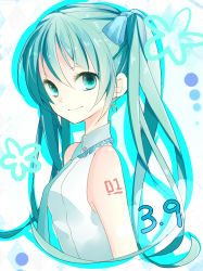 Rule 34 | 1girl, 39, bad id, bad pixiv id, dated, green eyes, green hair, hatsune miku, highres, long hair, matching hair/eyes, smile, solo, sss3, twintails, vocaloid
