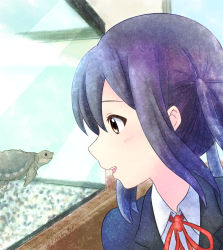 Rule 34 | 1girl, absurdres, black hair, black jacket, blush, brown eyes, collared shirt, commentary request, fish tank, highres, jacket, k-on!, looking at animal, looking to the side, nakano azusa, neck ribbon, parted lips, portrait, red ribbon, ribbon, sakuragaoka high school uniform, school uniform, shirt, smile, teeth, tmakatof, ton-chan, turtle, twintails, upper teeth only, white shirt