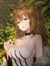 Rule 34 | 1girl, animal ears, arknights, bare arms, bare shoulders, black choker, breasts, brown eyes, brown hair, choker, cleavage, collarbone, fur trim, hair between eyes, large breasts, liby (libtnvd), lion ears, long hair, long sleeves, looking at viewer, off shoulder, open clothes, outdoors, parted lips, plant, ponytail, rain, siege (arknights), smile, solo, spiked choker, spikes, tank top, upper body, water, wet, wet hair