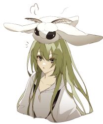 Rule 34 | 1other, :o, puff of air, androgynous, blanca (fate), bug, collarbone, cropped torso, enkidu (fate), fate/grand order, fate (series), green eyes, green hair, highres, hood, hood down, hooded robe, insect, insect on head, long hair, looking up, moth, notice lines, open mouth, other focus, oversized insect, razuri rapisu, robe, simple background, solo, white background, white robe